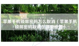 苹果手机锁屏密码怎么取消（苹果手机锁屏密码取消在哪里设置）