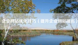 企业网站优化技巧（提升企业网站排名）