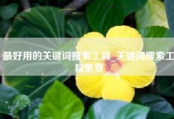 最好用的关键词搜索工具_关键词搜索工具免费