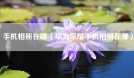 手机相册在哪（华为荣耀手机相册在哪）