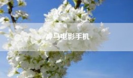神马电影手机