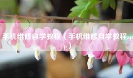 手机维修自学教程（手机维修自学教程app）