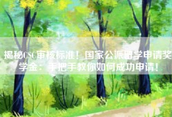 揭秘CSC审核标准！国家公派留学申请奖学金：手把手教你如何成功申请！