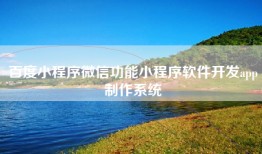 百度小程序微信功能小程序软件开发app制作系统