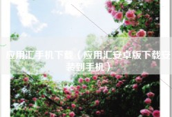 应用汇手机下载（应用汇安卓版下载安装到手机）