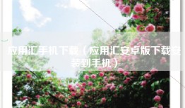 应用汇手机下载（应用汇安卓版下载安装到手机）