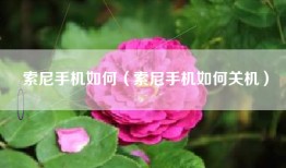 索尼手机如何（索尼手机如何关机）