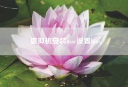 虚拟机安装mac设置bios