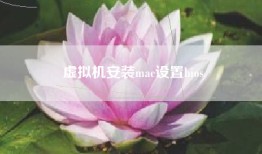 虚拟机安装mac设置bios