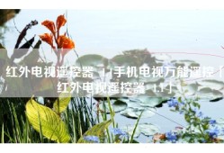 红外电视遥控器  1.1手机电视万能遥控「红外电视遥控器  1.1」