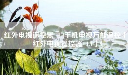 红外电视遥控器  1.1手机电视万能遥控「红外电视遥控器  1.1」