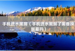 手机进水黑屏（手机进水黑屏了需要换屏幕吗）