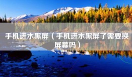 手机进水黑屏（手机进水黑屏了需要换屏幕吗）