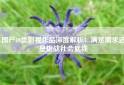 国产18类影视作品深度解析：满足需求还是挑战社会底线
