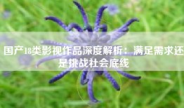 国产18类影视作品深度解析：满足需求还是挑战社会底线