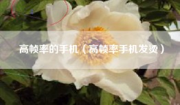 高帧率的手机（高帧率手机发烫）