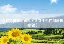 金立手机如何刷机（金立手机如何刷机解锁）