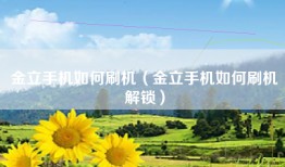 金立手机如何刷机（金立手机如何刷机解锁）