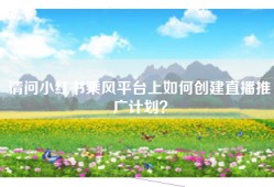 请问小红书乘风平台上如何创建直播推广计划？
