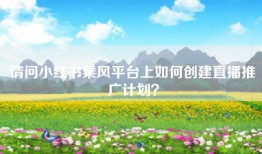 请问小红书乘风平台上如何创建直播推广计划？