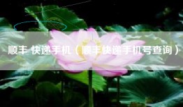 顺丰 快递手机（顺丰快递手机号查询）