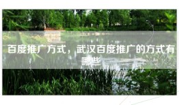 百度推广方式，武汉百度推广的方式有哪些