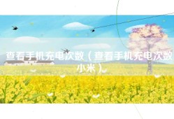 查看手机充电次数（查看手机充电次数小米）