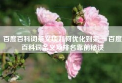 百度百科词条义项如何优化到第一 百度百科词条义项排名靠前秘诀
