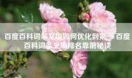 百度百科词条义项如何优化到第一 百度百科词条义项排名靠前秘诀