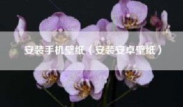 安装手机壁纸（安装安卓壁纸）