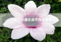 汽车三元催化器作用及原理