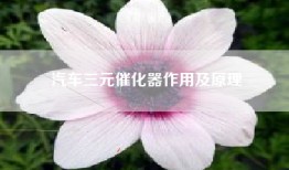 汽车三元催化器作用及原理