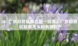 2022广东自贸区概念股一览表，广东自贸区股票龙头股有哪些？