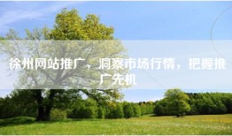 徐州网站推广，洞察市场行情，把握推广先机