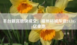 丰台新宫地块成交，福州裕诚斥资24.345亿拿地