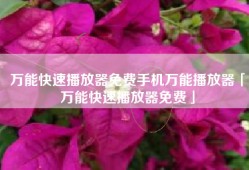 万能快速播放器免费手机万能播放器「万能快速播放器免费」