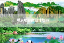 煤炭项目商业计划书