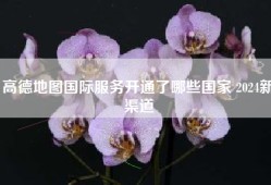 高德地图国际服务开通了哪些国家 2024新渠道