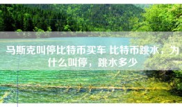 马斯克叫停比特币买车 比特币跳水，为什么叫停，跳水多少