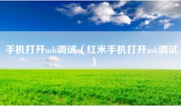 手机打开usb调试（红米手机打开usb调试）