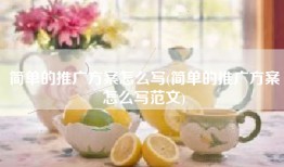简单的推广方案怎么写(简单的推广方案怎么写范文)