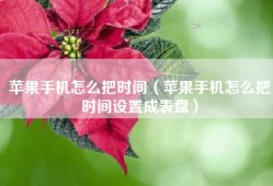 苹果手机怎么把时间（苹果手机怎么把时间设置成表盘）