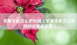 苹果手机怎么把时间（苹果手机怎么把时间设置成表盘）
