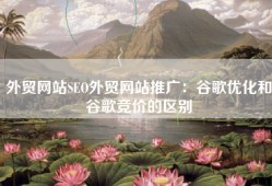 外贸网站SEO外贸网站推广：谷歌优化和谷歌竞价的区别