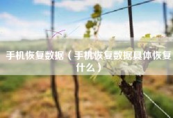 手机恢复数据（手机恢复数据具体恢复什么）