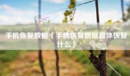 手机恢复数据（手机恢复数据具体恢复什么）