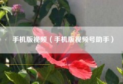 手机版视频（手机版视频号助手）