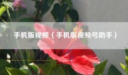 手机版视频（手机版视频号助手）