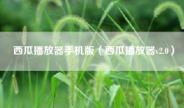 西瓜播放器手机版（西瓜播放器v2.0）