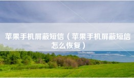 苹果手机屏蔽短信（苹果手机屏蔽短信怎么恢复）